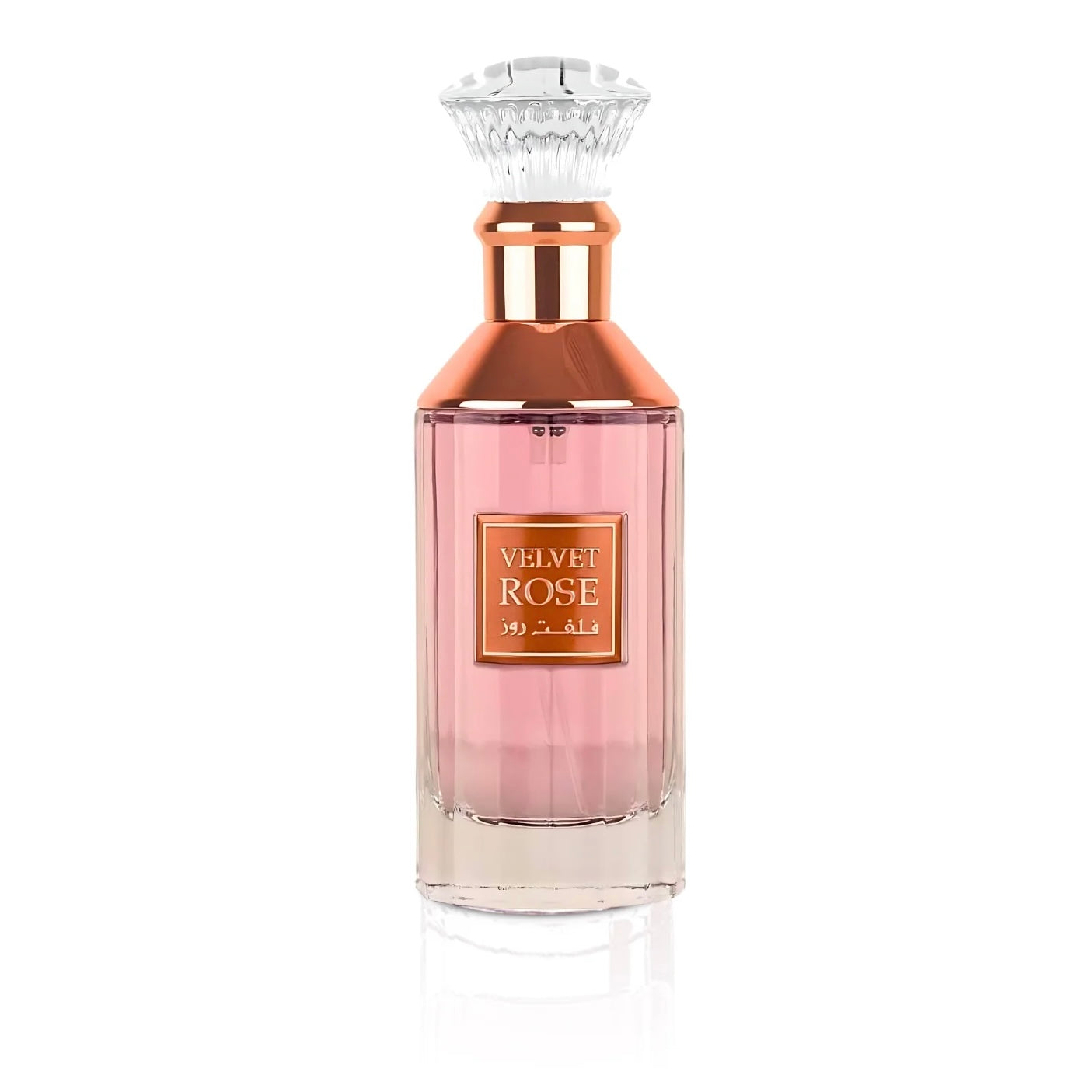 Velvet Rose 100ml EDP by Lattafa