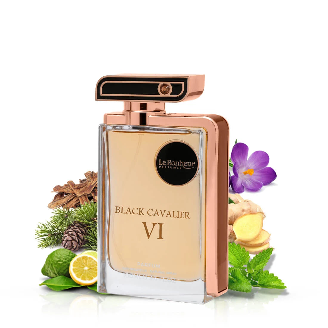 Black Cavalier VI EDP 100ml by Le Bonheur
