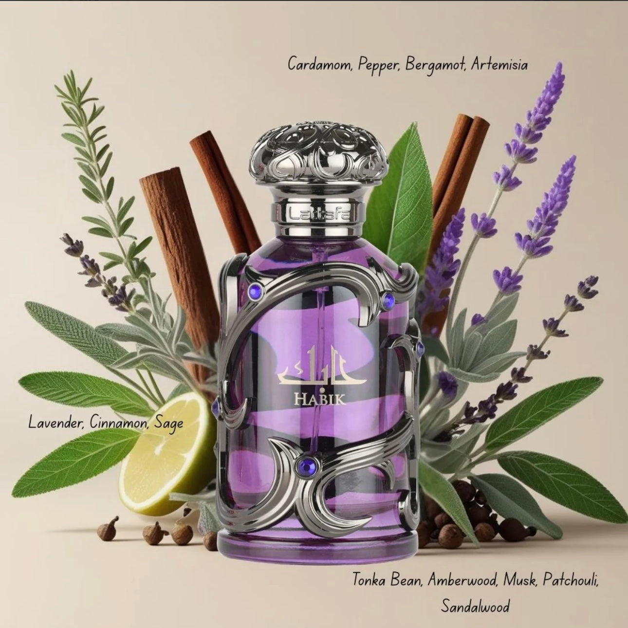 Habik For Men 100ML By Lattafa