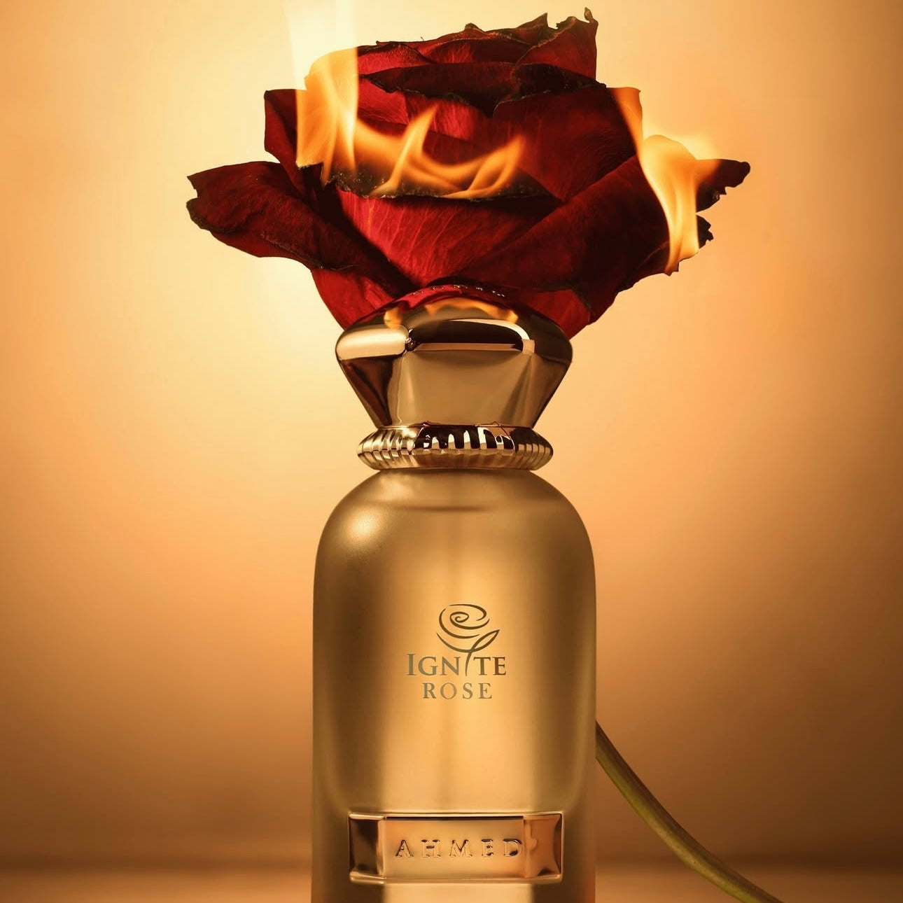 Ignite Rose 60ML EDP By Ahmed Al Maghribi
