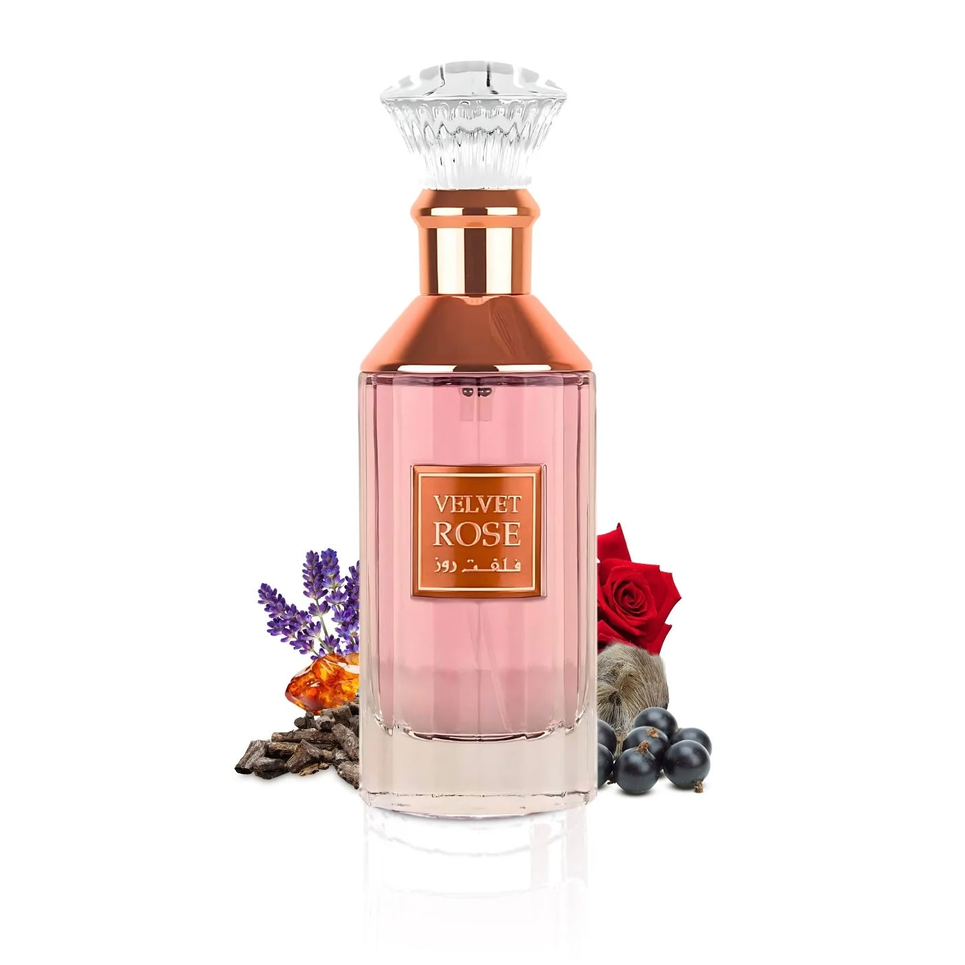 Velvet Rose 100ml EDP by Lattafa
